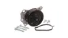 Wasserpumpe, Motorkühlung SKF VKPC 91810 Bild Wasserpumpe, Motorkühlung SKF VKPC 91810