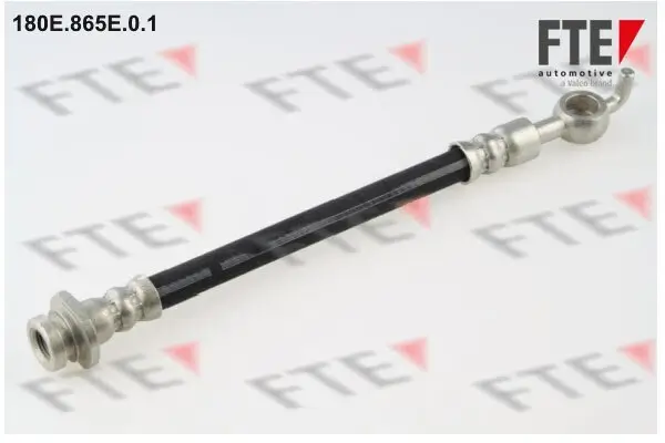 Bremsschlauch Hinterachse außen FTE 9240887