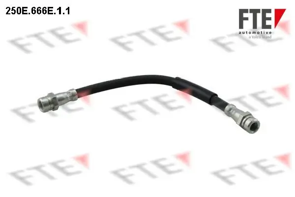 Bremsschlauch Hinterachse FTE 9240409