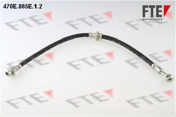 Bremsschlauch Vorderachse FTE 9240669