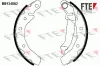 Bremsbackensatz Hinterachse FTE 9100051