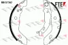 Bremsbackensatz Hinterachse FTE 9100059