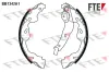 Bremsbackensatz Hinterachse FTE 9100095