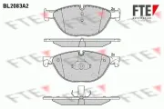 Bremsbelagsatz, Scheibenbremse Vorderachse FTE 9010667
