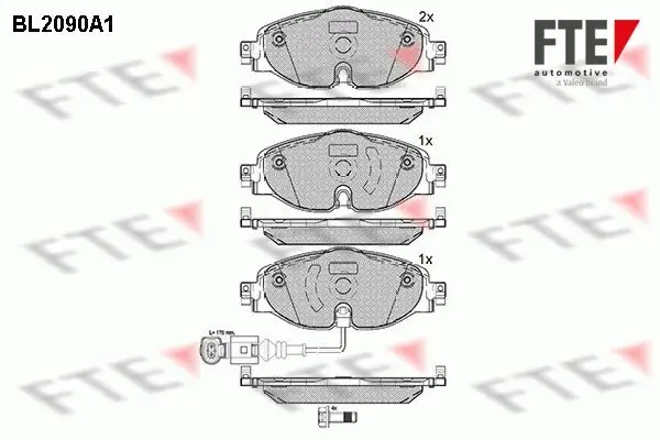 Bremsbelagsatz, Scheibenbremse FTE 9010674