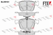 Bremsbelagsatz, Scheibenbremse FTE 9010676