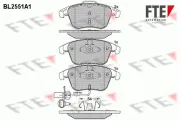 Bremsbelagsatz, Scheibenbremse FTE 9010804