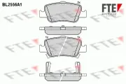 Bremsbelagsatz, Scheibenbremse Hinterachse FTE 9010810