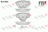 Bremsbelagsatz, Scheibenbremse Hinterachse FTE 9010987