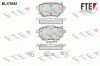 Bremsbelagsatz, Scheibenbremse Hinterachse FTE 9010988