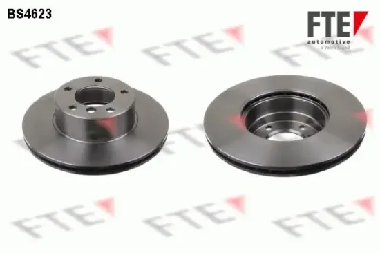 Bremsscheibe Vorderachse FTE 9071013 Bild Bremsscheibe Vorderachse FTE 9071013