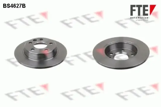 Bremsscheibe Hinterachse FTE 9082180 Bild Bremsscheibe Hinterachse FTE 9082180