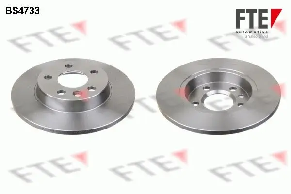 Bremsscheibe Hinterachse FTE 9072554