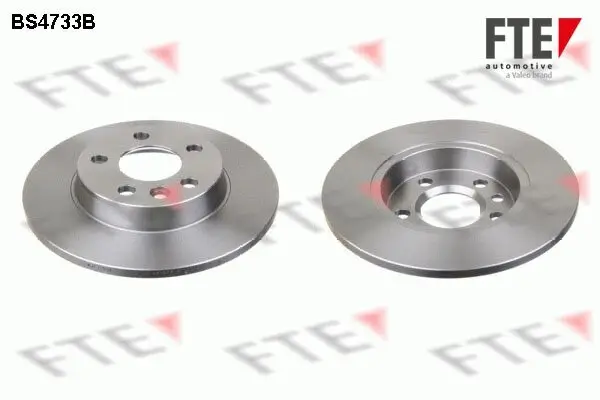 Bremsscheibe Hinterachse FTE 9082113