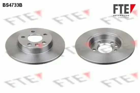 Bremsscheibe Hinterachse FTE 9082113 Bild Bremsscheibe Hinterachse FTE 9082113