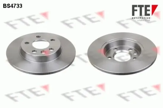 Bremsscheibe Hinterachse FTE 9072554 Bild Bremsscheibe Hinterachse FTE 9072554