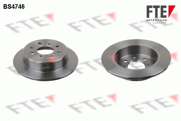 Bremsscheibe Hinterachse FTE 9072354