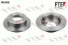 Bremsscheibe Hinterachse FTE 9072295