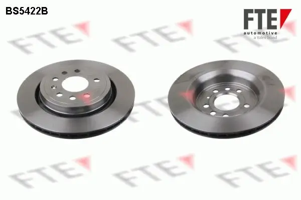 Bremsscheibe Hinterachse FTE 9082144