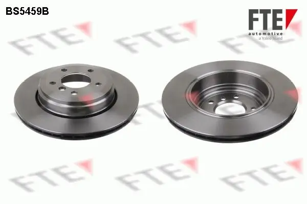 Bremsscheibe Hinterachse FTE 9081308