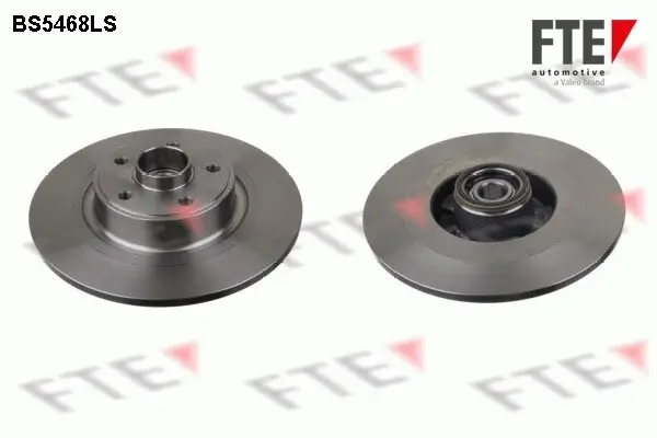 Bremsscheibe Hinterachse FTE 9071390