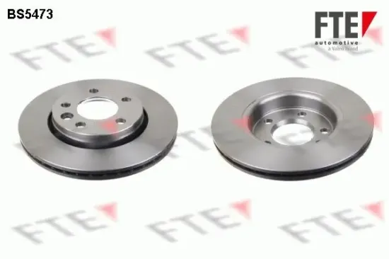 Bremsscheibe Hinterachse FTE 9072608 Bild Bremsscheibe Hinterachse FTE 9072608