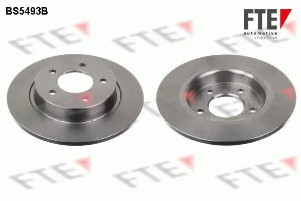 Bremsscheibe Hinterachse FTE 9082460