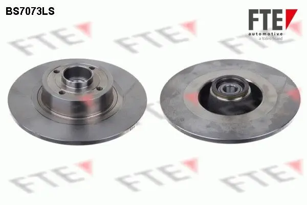 Bremsscheibe Hinterachse FTE 9071393