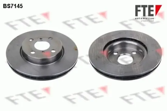 Bremsscheibe Vorderachse FTE 9072544 Bild Bremsscheibe Vorderachse FTE 9072544