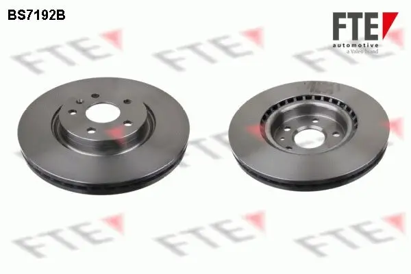 Bremsscheibe Vorderachse FTE 9081089