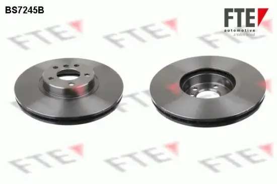 Bremsscheibe Vorderachse FTE 9081038 Bild Bremsscheibe Vorderachse FTE 9081038