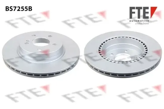 Bremsscheibe Hinterachse FTE 9082292 Bild Bremsscheibe Hinterachse FTE 9082292