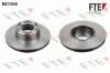 Bremsscheibe Hinterachse FTE 9071146
