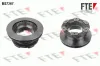 Bremsscheibe Hinterachse FTE 9071173