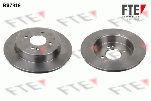 Bremsscheibe Hinterachse FTE 9072542