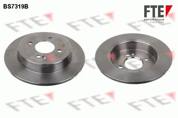 Bremsscheibe Hinterachse FTE 9082249