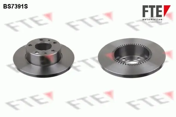 Bremsscheibe Hinterachse FTE 9072396