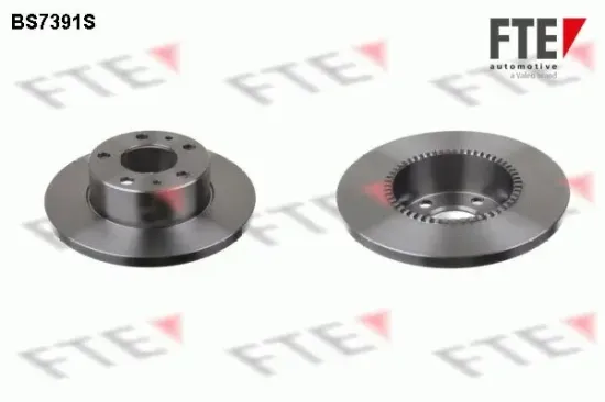 Bremsscheibe Hinterachse FTE 9072396 Bild Bremsscheibe Hinterachse FTE 9072396