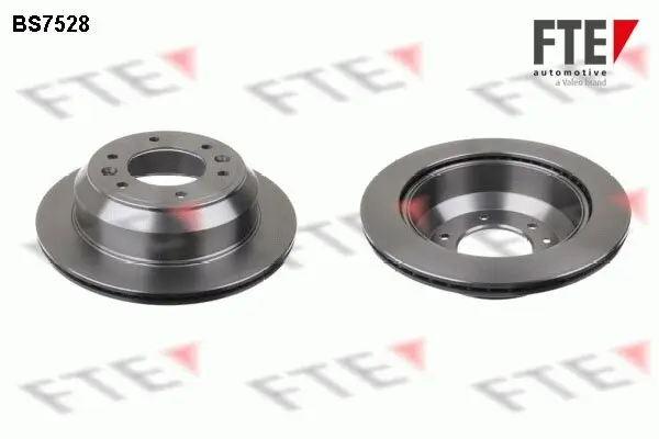 Bremsscheibe Hinterachse FTE 9071147