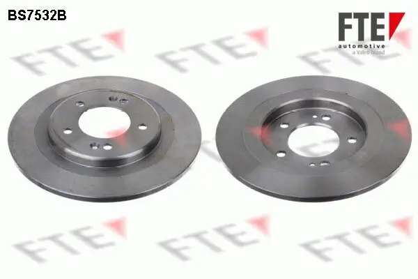 Bremsscheibe Hinterachse FTE 9082121