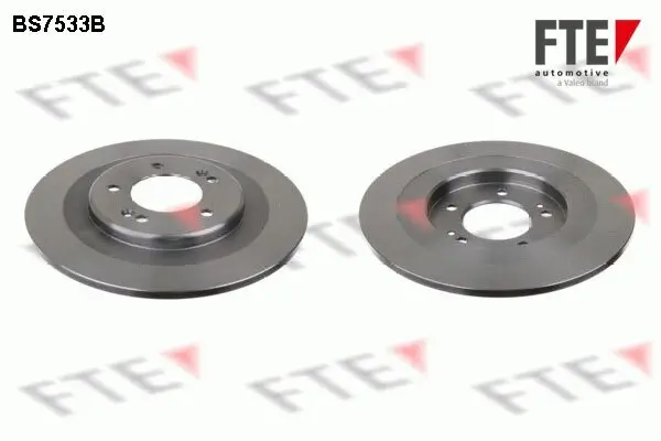 Bremsscheibe Hinterachse FTE 9082284