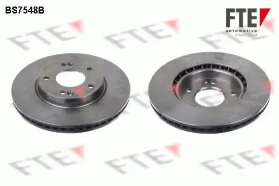 Bremsscheibe Vorderachse FTE 9082050 Bild Bremsscheibe Vorderachse FTE 9082050
