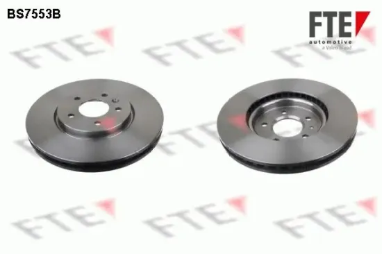 Bremsscheibe Vorderachse FTE 9081138 Bild Bremsscheibe Vorderachse FTE 9081138