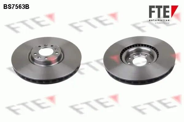 Bremsscheibe Vorderachse FTE 9081082