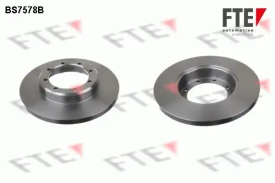 Bremsscheibe Hinterachse FTE 9081079 Bild Bremsscheibe Hinterachse FTE 9081079