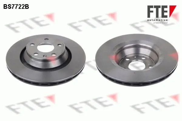 Bremsscheibe Hinterachse FTE 9082455