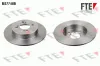 Bremsscheibe Hinterachse FTE 9082298