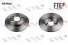 Bremsscheibe Hinterachse FTE 9072571