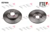 Bremsscheibe Hinterachse FTE 9072841