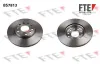 Bremsscheibe Vorderachse FTE 9072071